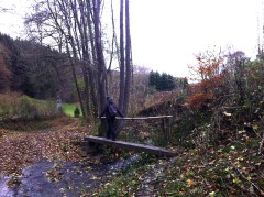 Über den Riffelsbach bei Hammer