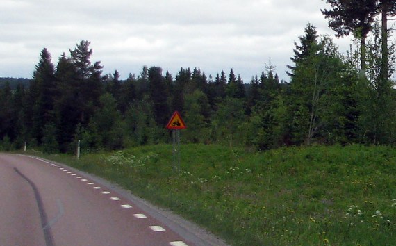 Achtung! Schneemobil kreuzt.