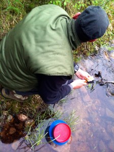 Nach dem Frühstück bei Jokkmokk: Abgewaschen wird im Bach.
