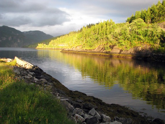 Herrliches Licht am Fjord