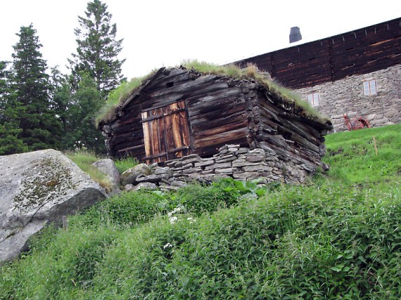 Typischer Vorratsraum im Dovrefjell-Sunndalsfjella-Nationalpark