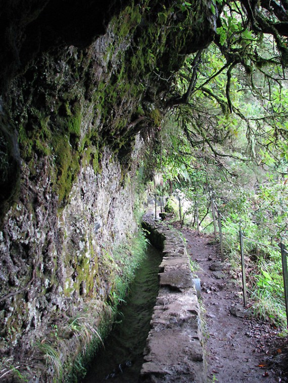 Typischer Levada-Wanderweg