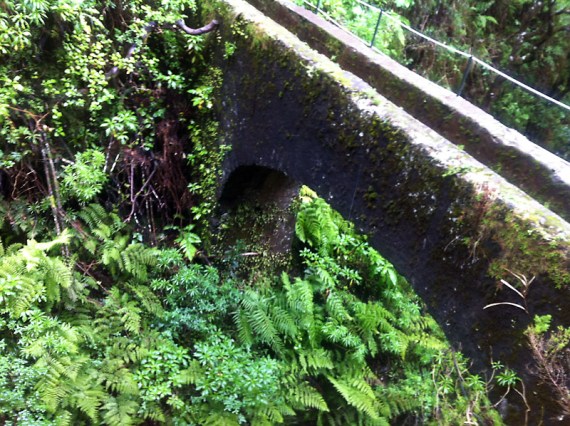 Den Levadas hat man sogar Brücken gebaut – und wir müssen da jetzt auch drüber