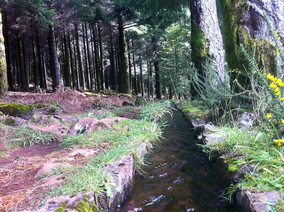 Märchenwald – mit Levada