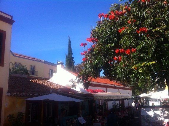 Stadtansichen Funchal