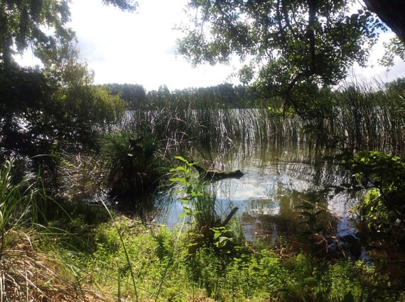 Blick auf den See im hinteren Teil des Platzes
