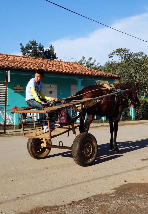 Es gibt sehr viele kleine Fuhrwerke überall in Kuba.