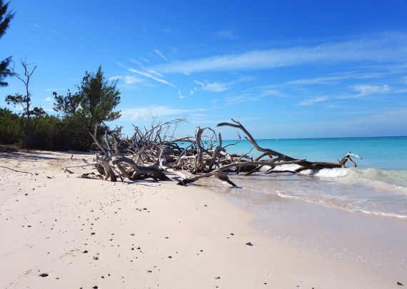 Traumstrand auf Cayo Jutías