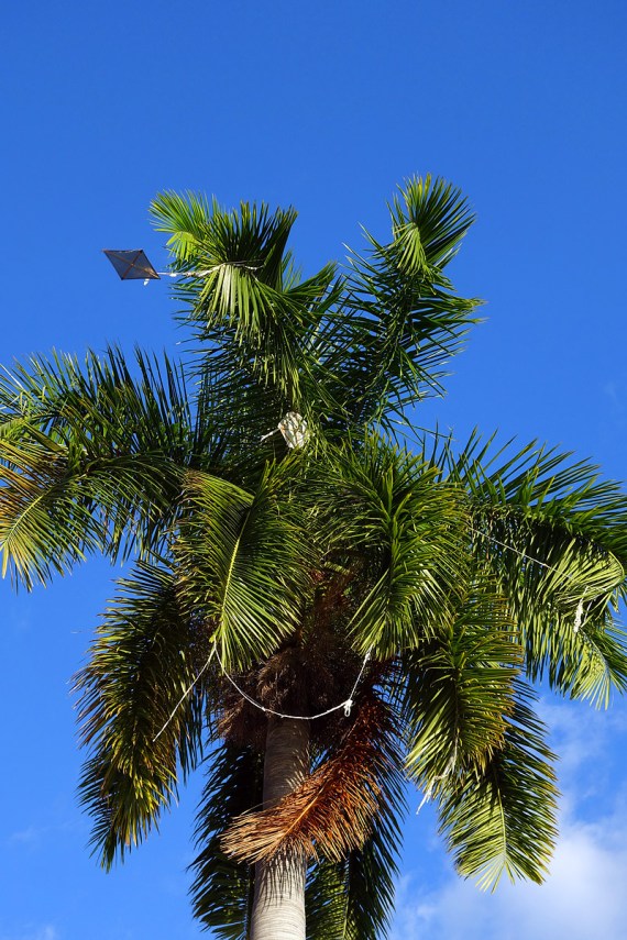 Plaza Mayor, Trinidad
