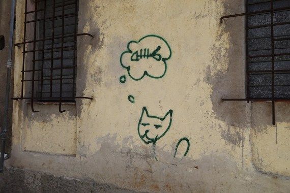 Der Traum vom eigenen Fisch, La Habana