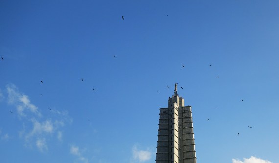 Greifvögel am Monumento a José Martí, La Habana