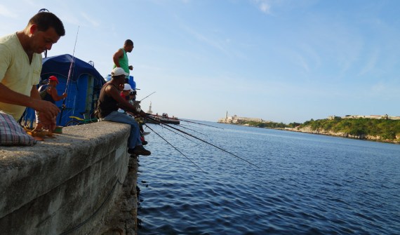 Anlger an der Av Del Purto, La Habana