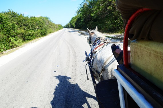 Die Straße zum Playa Los Flamencos, Cayo Coco