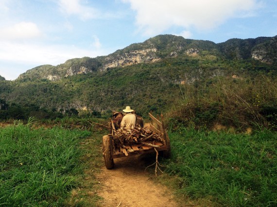 Valle de Viñales