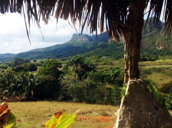 Valle de Viñales, vom Mirador aus gesehen.